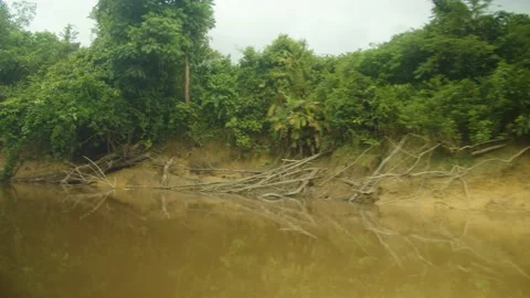 Kapuas River Stock Footage 205473433