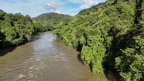 Kapuas River Stock Footage 317111833