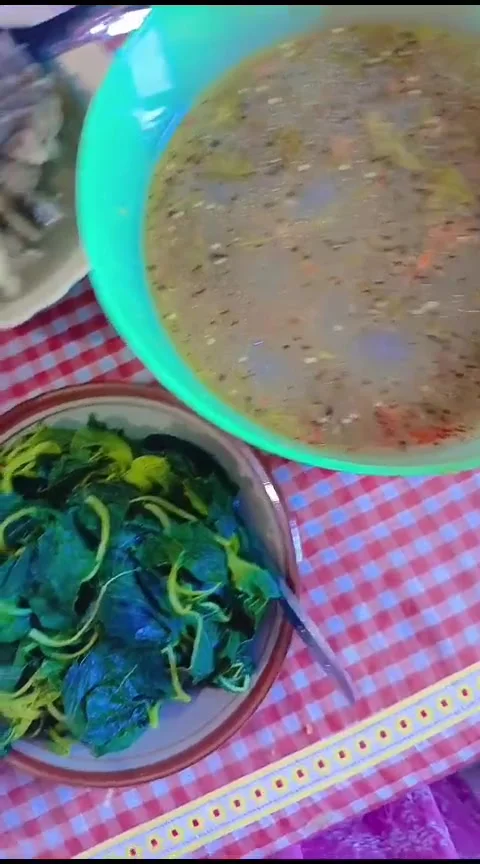 Kapurung papeda Stock Footage 271438653