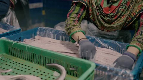 Karachi Fish Factory Worker Sorting Raw Seafood Fillets for Export Video stock 320850995