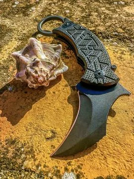 Karambit knife with a shell Foto stock
