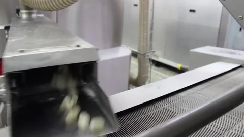 Karamel 039The machine throws caramel candies on a conveyor belt Stock Footage 130395199