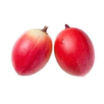 Karanda. Stock Photos