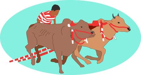 Karapan Sapi Flat Vector Illustration  Stock Illustration