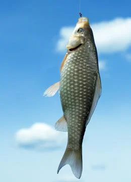 Karas on the hook against the sky Foto stock