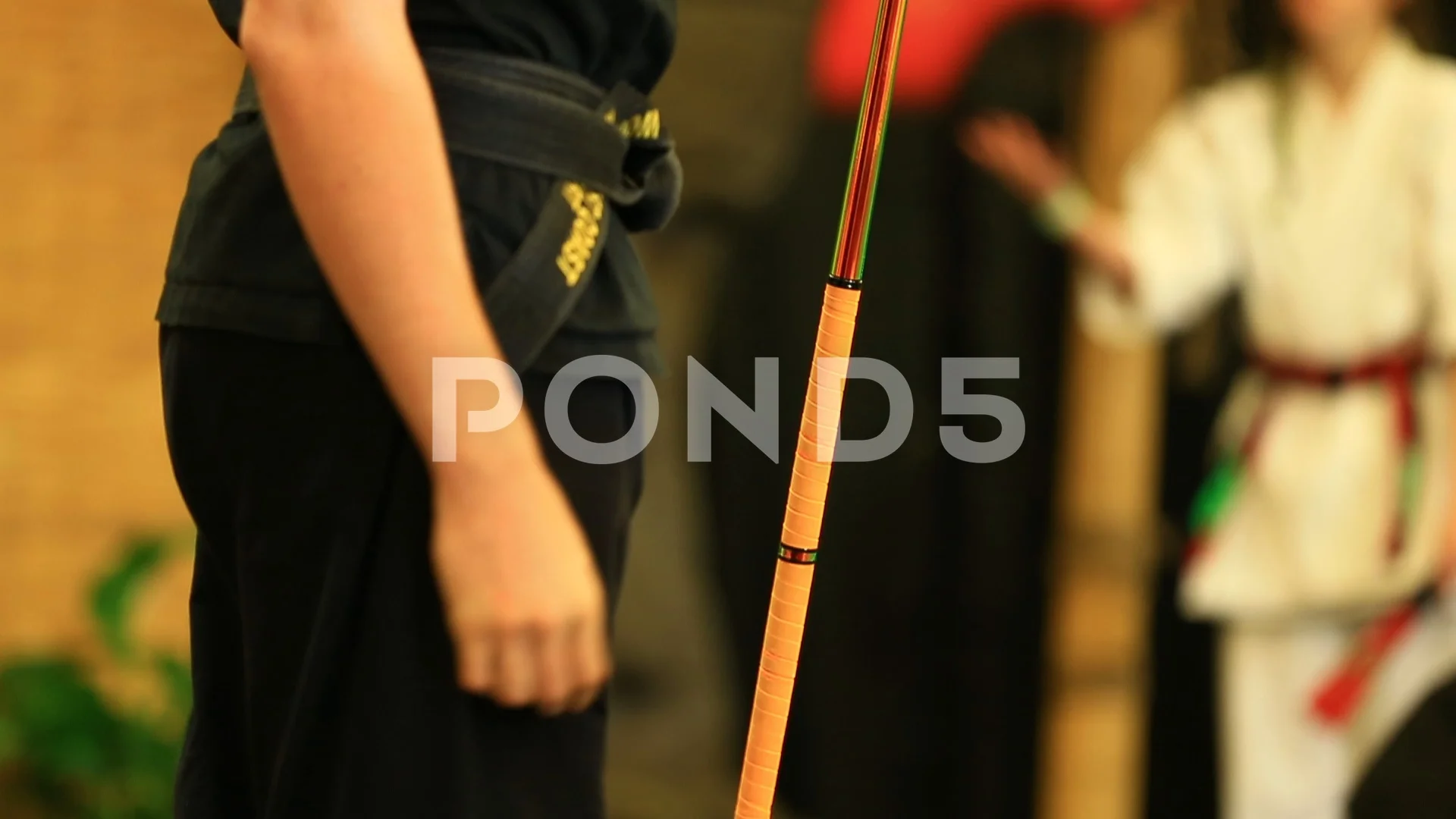 Kendo girl Taken On The Dojo Floor