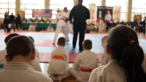 Karate fight Stock Footage 91320381
