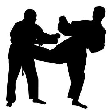 Karate fight Stock Illustration