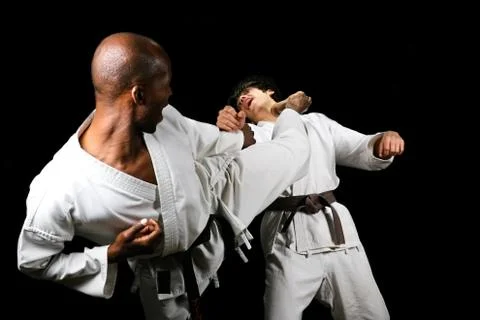 Karate fight Фото