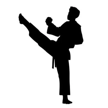 Karate fighter isolated Stock-Illustration