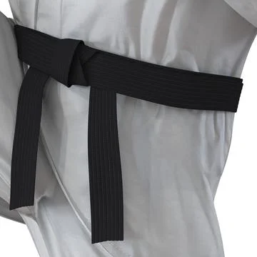 3D Model: Karate Fighter Pose 3 ~ Buy Now #90937819 | Pond5