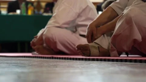 Karate fighters Stock Footage 91319084