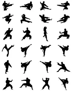 Karate fighting, vector Stock Illustration