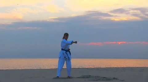 Karate 스톡 동영상 11133704