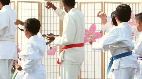 Karate Form Video stock 8995568