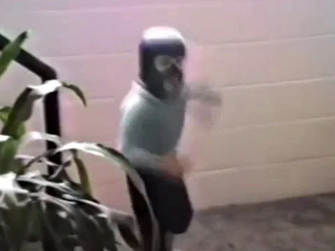 Karate Kid Playing in the 1980s Видео 101493053