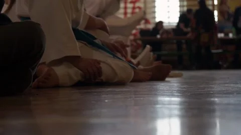 Karate kids Stock Footage 91308913