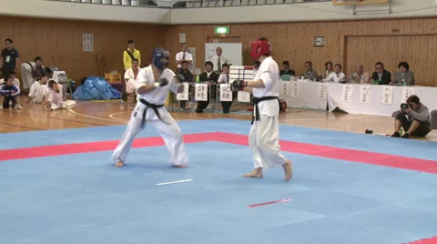 Karate Knock out Video stock 31383066