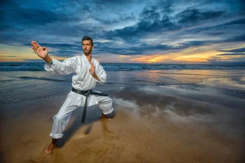 Karate master in defense position Stock Photos