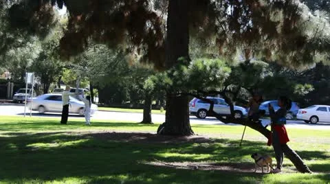 Karate in the Park Video stock 20522563