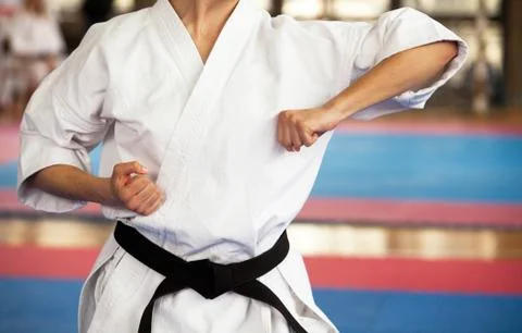 Karate position Foto stock