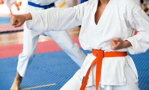 Karate position Stock Photos