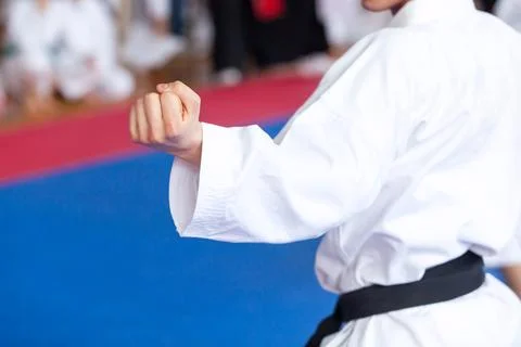 Karate practitioner body position during training. Martial arts. Stock Photos