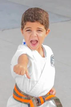 Karate punch 2 Stock Photos