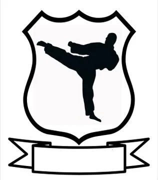 Karate sport shield Stock Illustration