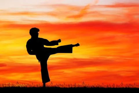 Karate at sunset Illustrazione stock