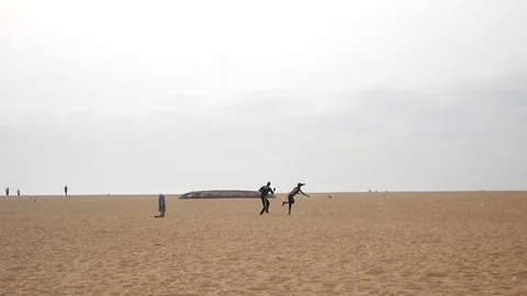 Karate training at the beach Stock Footage 81093400