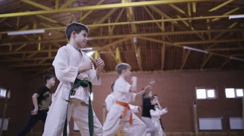 Karate training for children Stock Footage 61465428