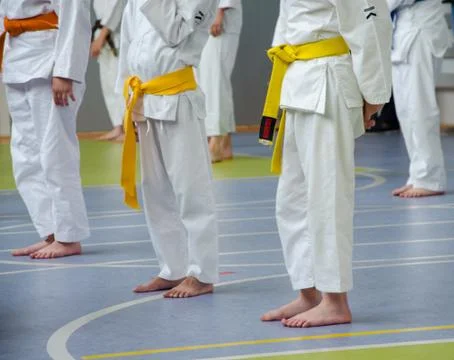 Karate training. Kids are staying straight and waiting for exercices. Stock Photos