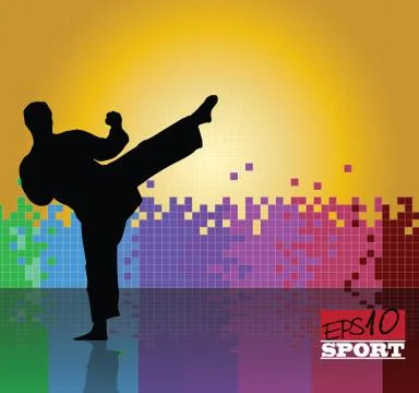 Karate. Vector 스톡 일러스트