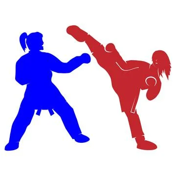 Karate vector illustration design Stock Illustration