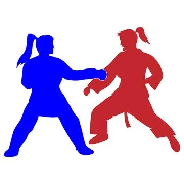 Karate vector illustration design Stock Illustration