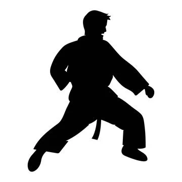 Karate vector illustration design Stock Illustration