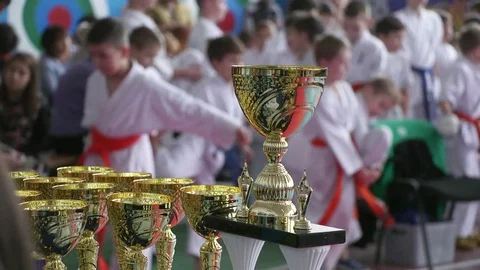 The Karate winner's cup Vídeo Stock 83271250