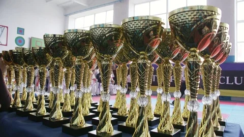 The Karate winner's cup Stockbeeldmateriaal 83271416