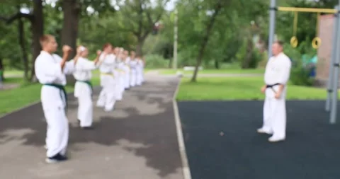 Karateka (1) Video stock 205023024