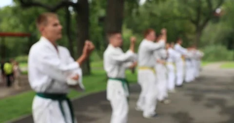 Karateka (2) Video stock 205022852