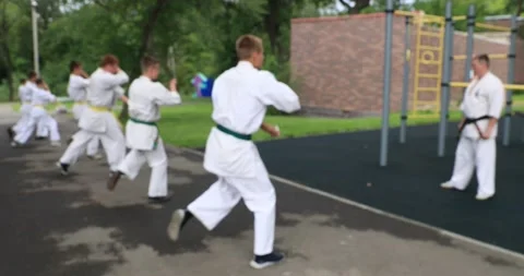 Karateka (3) Video stock 205022990