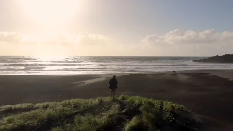Karekare Beach observer Stockbeeldmateriaal 101758977