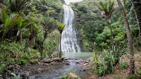 Karekare falls Video stock 219670499