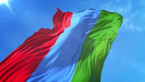 Karelia Flag Low Angle View Stock Footage 295695870