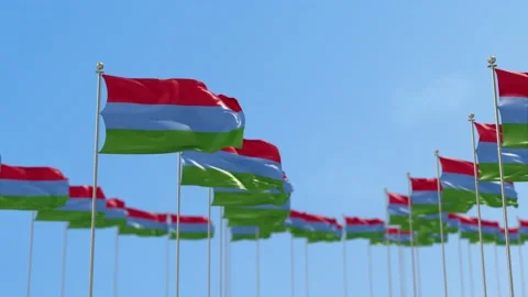 Karelia Row Of Flags 3D Animation Stock Footage 148706830