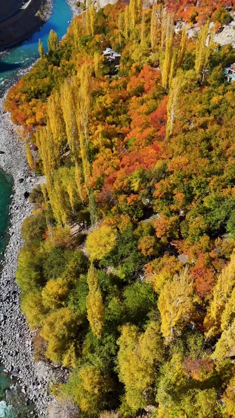 Kargil’s fall color burst – vertical drone view from above. Stock Footage 310665044
