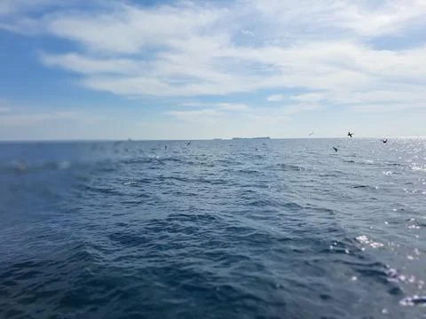 Karimu java sea Stock Photos