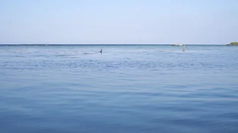 Karimunjawa Island Beach Loop Stock Footage 257646233