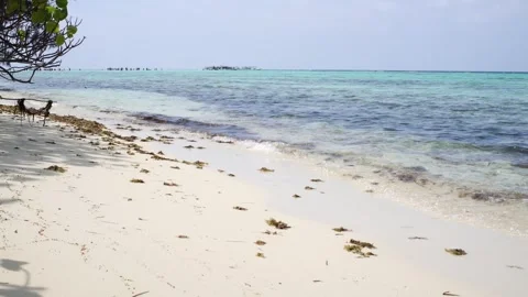 Karimunjawa Island Beach Loop Stock Footage 257660094